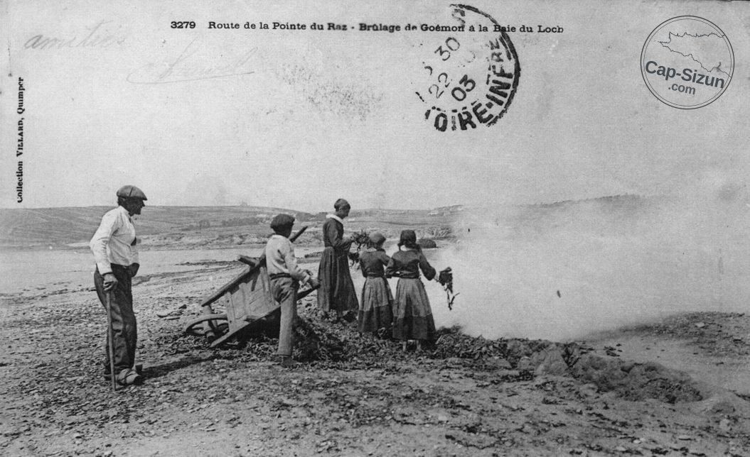 Brulâge de goémon au Loc'h