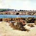 Le port du Loc\'h en 1966
