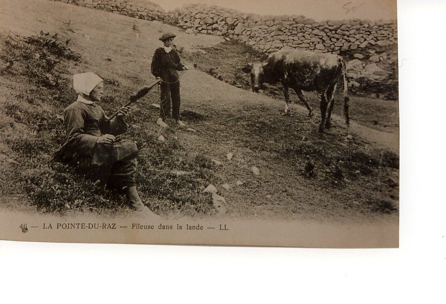 Pointe du Raz, fileuse dans la lande
